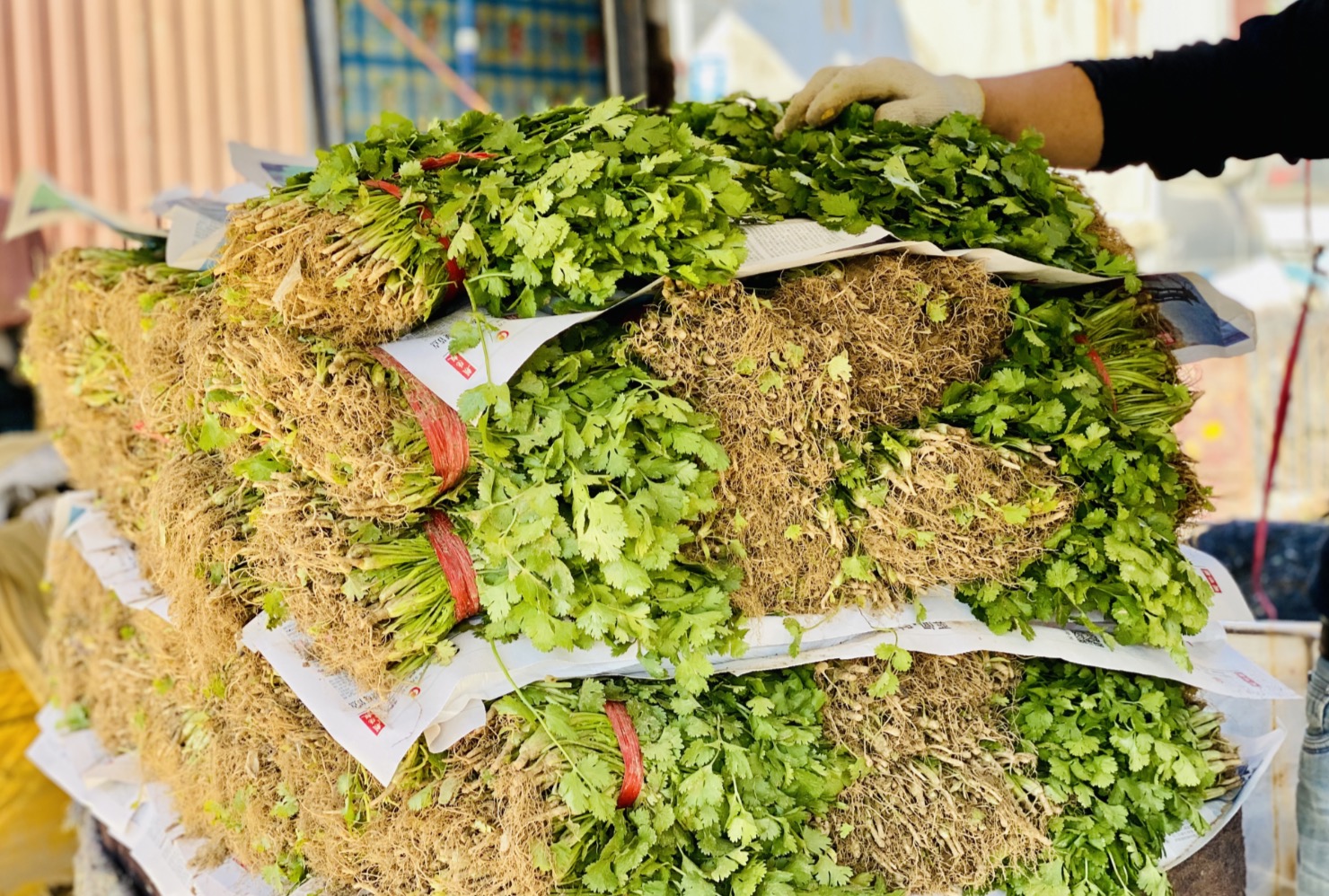 北京新发地蔬菜批发价格开始回落