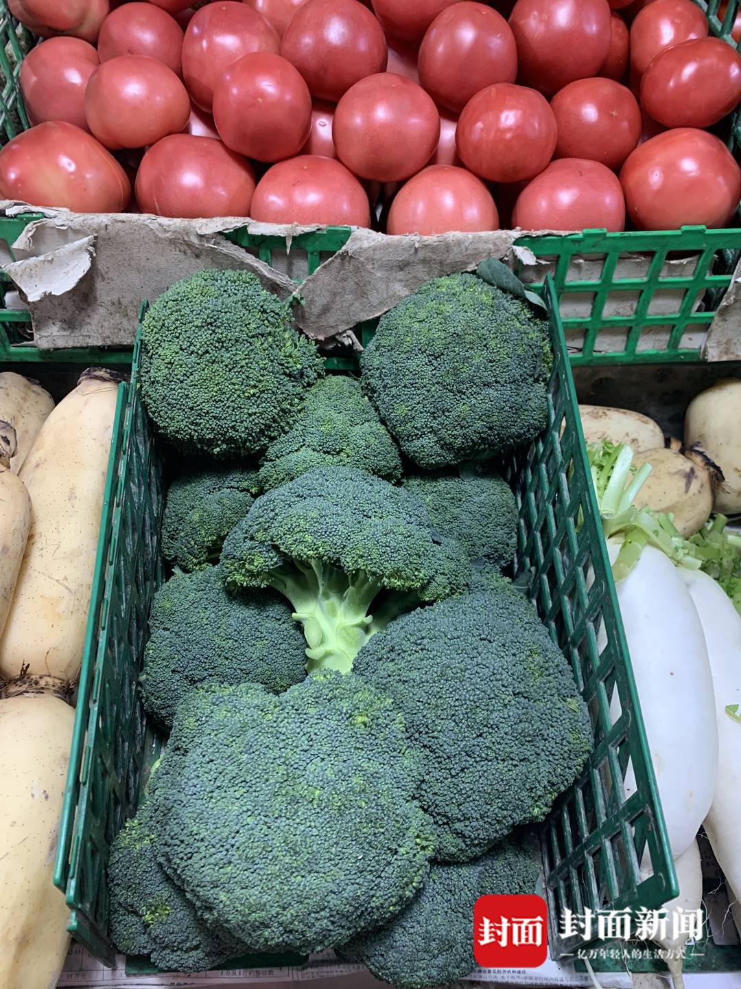 今日彭州蔬菜价格查询「新发地今日蔬菜价格」