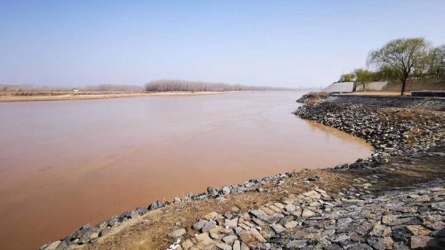 最美黄河｜黄河，我的母亲河，美哉