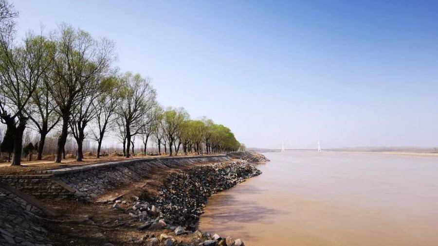 最美黄河｜黄河，我的母亲河，美哉