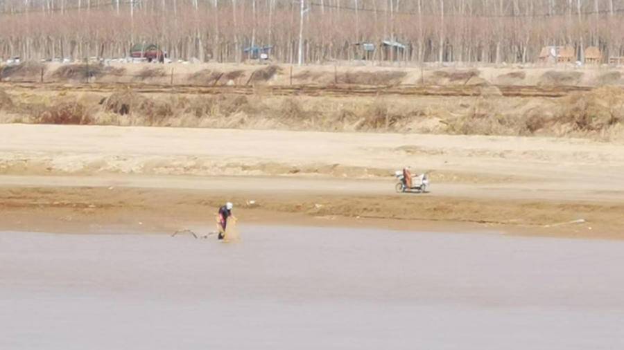 最美黄河｜黄河，我的母亲河，美哉