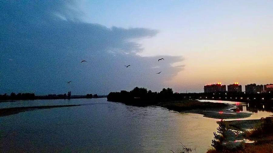 最美黄河｜黄河，我的母亲河，美哉