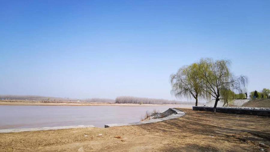 最美黄河｜黄河，我的母亲河，美哉