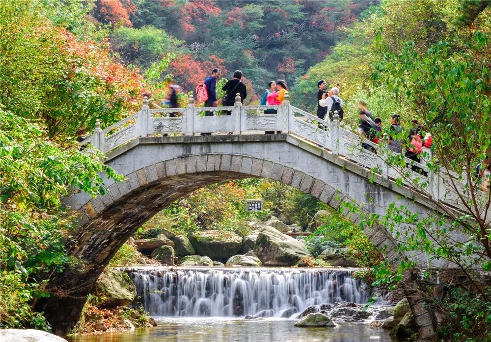 免门票！老君山红叶观赏指南来啦！最佳观赏点在→