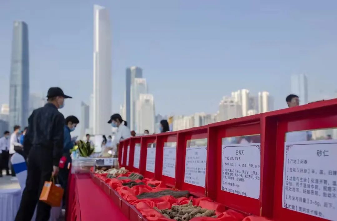 “小蛮腰”下八段锦，广州在城市中轴线上举办中医药文化展示推广活动