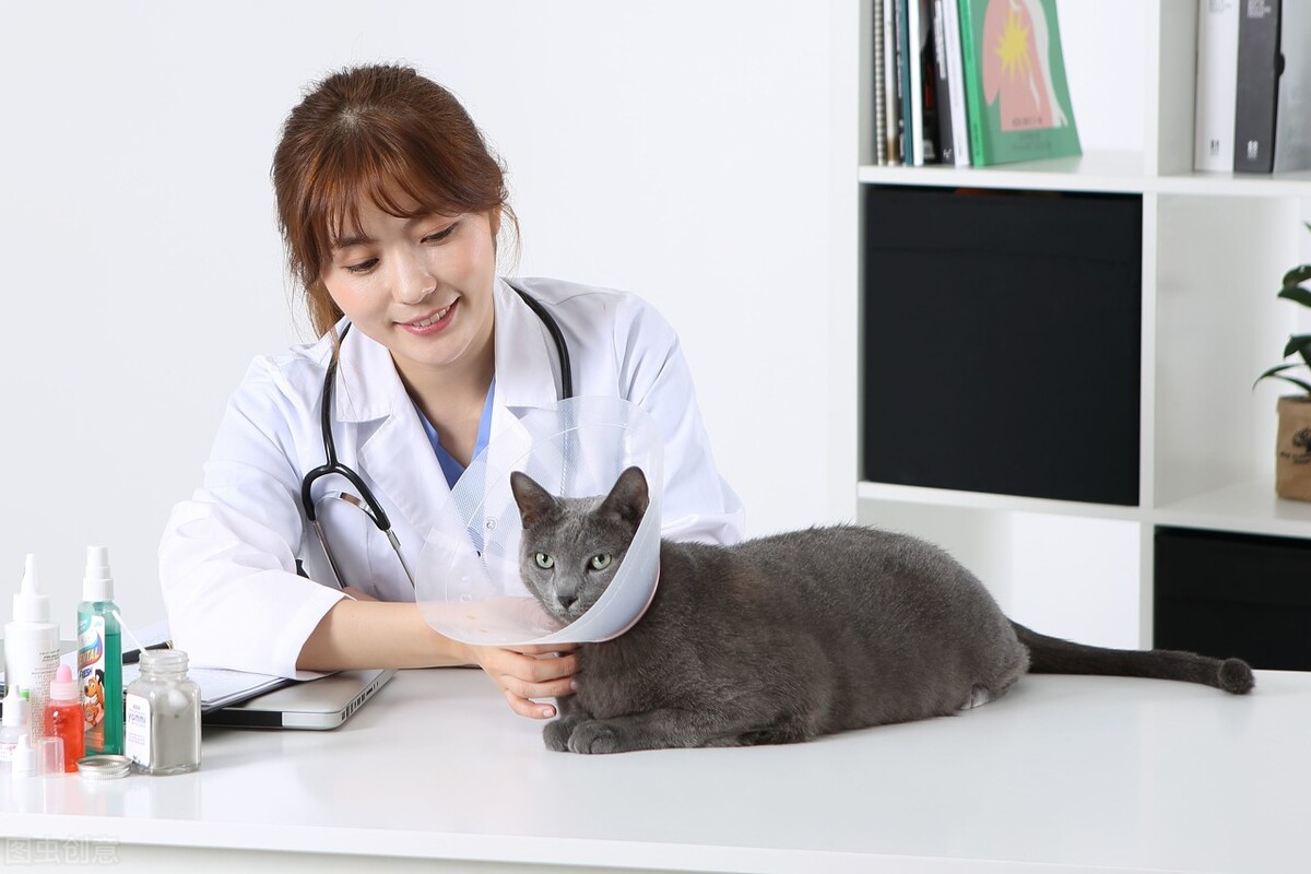 华中农业大学成人高考函授专科招生报名畜牧兽医专业