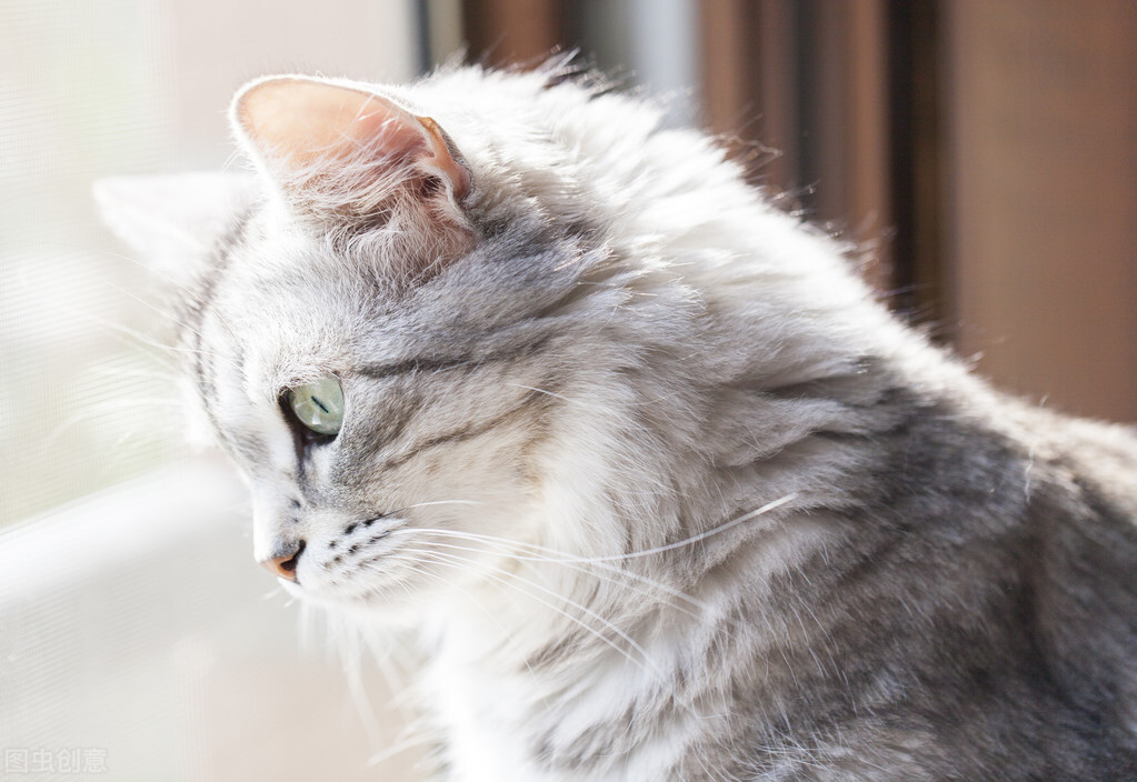 西安会计师事务所排名（四大会计师事务所招聘条件要求是什么）