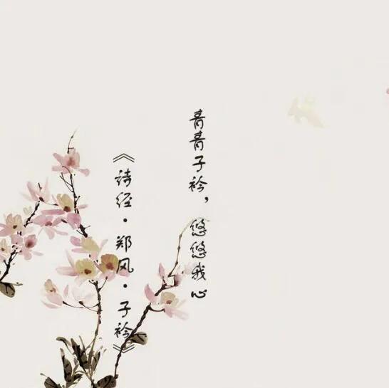 我心悠悠是什么意思 怎么理解我心悠悠的意思