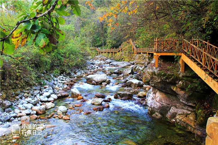 秦岭腹地精华自驾路线，私藏中国绝美秋景！陕西必驾，你去过吗？