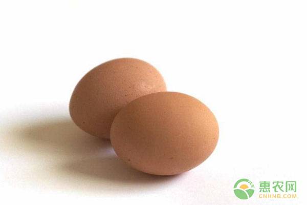 今日鸡蛋批发价多少钱一斤？2019鸡蛋全国鸡蛋价格行情分析
