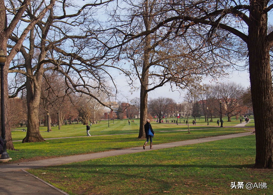 美国50所在大城市的最好大学