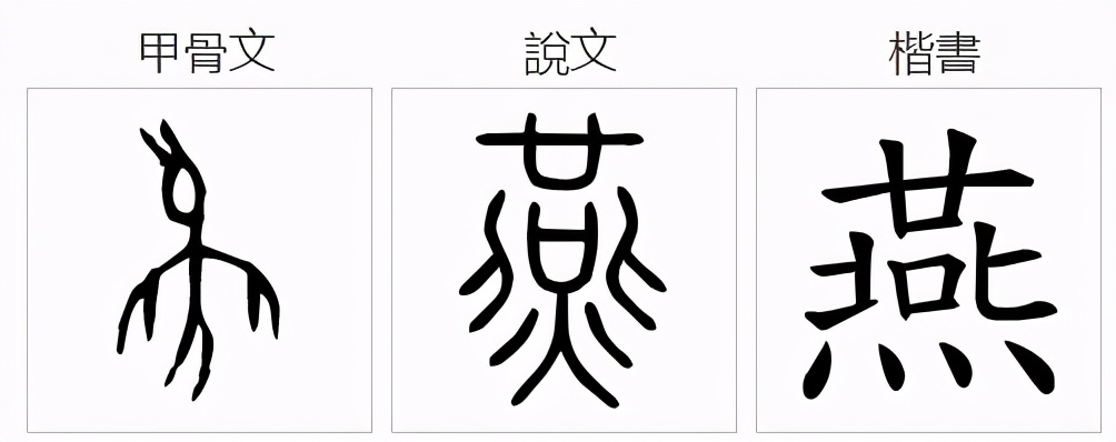 从燕字的演变过程可以看出,甲骨文象形,是一只尖嘴剪尾,展翅向上飞