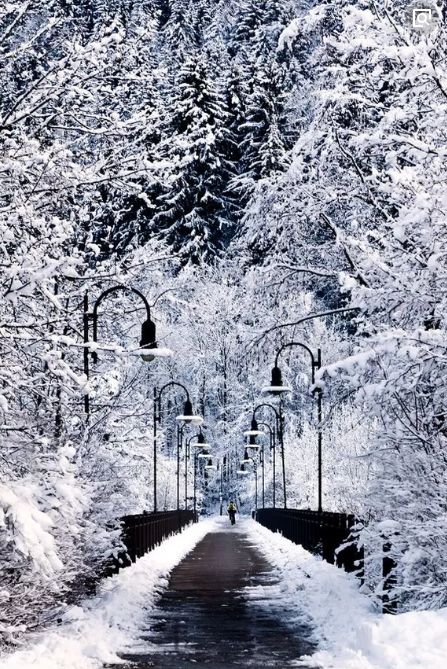 「诗词鉴赏」古诗词中的雪和桥，另一番风景！