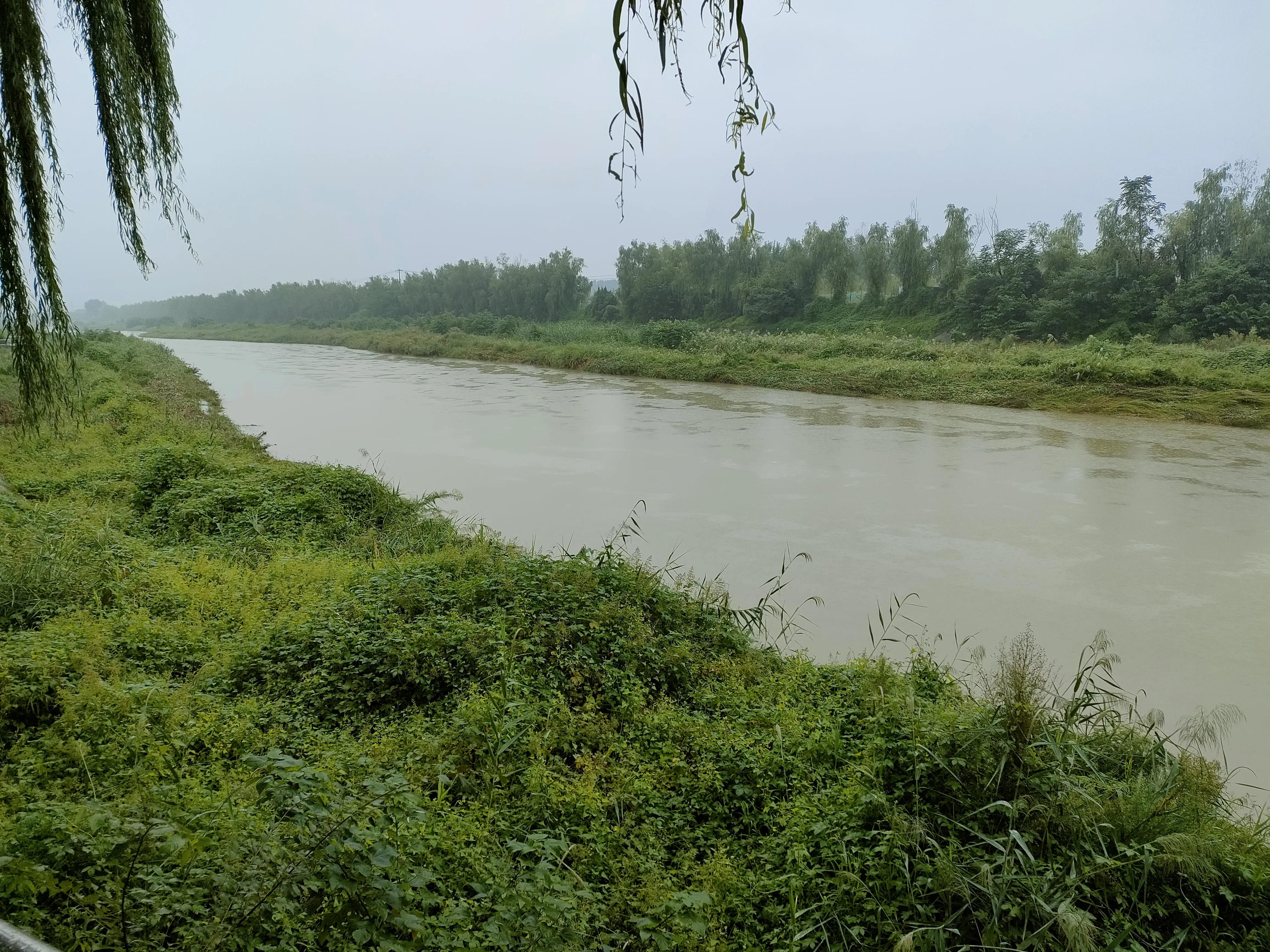 分行文字 ‖ 秋雨中的涝河水