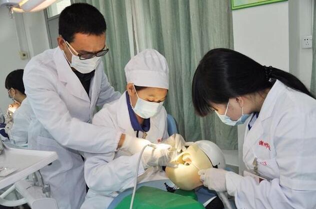 2021高考报考指南：毕业就是外交官的“小语种”专业，想试试吗？