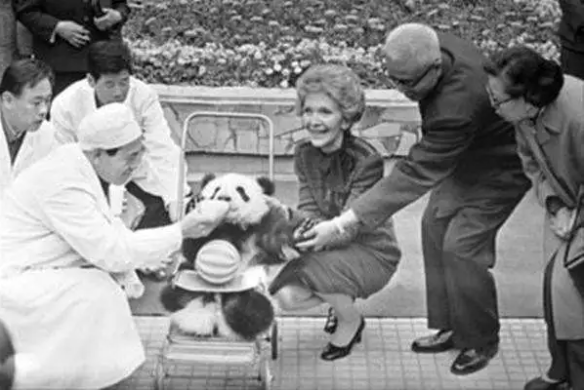 尼克松夫人对熊猫牌烟盒爱不释手，周总理坦言：我送你们两只真的