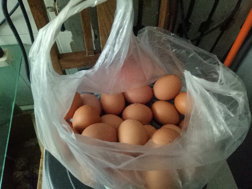 济南商河有超市鸡蛋价格已跌破3元