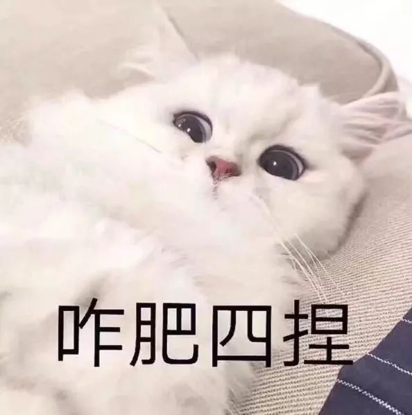 霸道总裁漫画排行榜：十大经典作品推荐