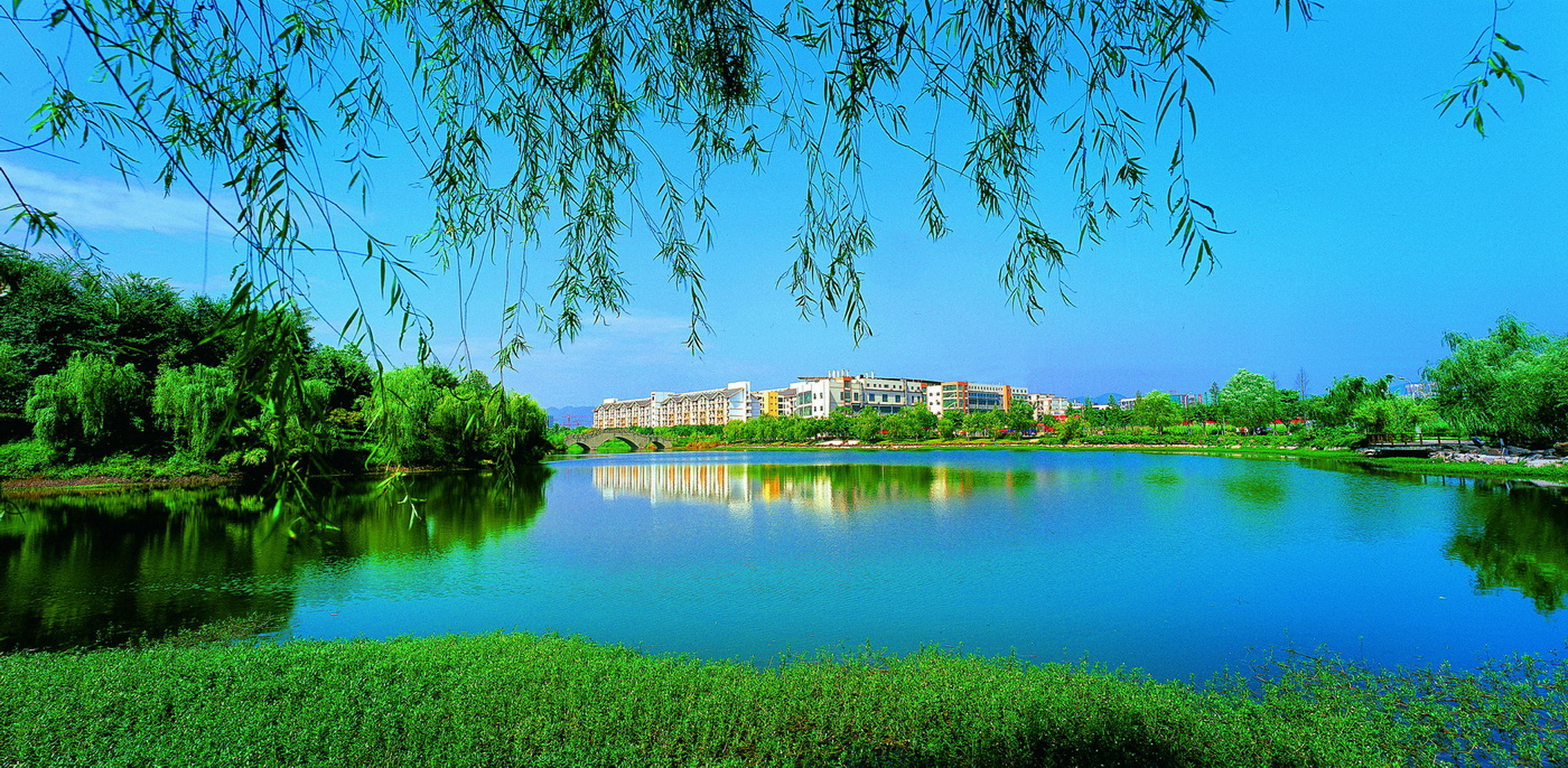 更名成大学、新设一学院，重庆高等教育发生了两件大事