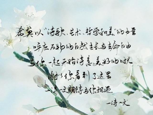 梦里，我回到了故乡，一盏孤灯愁肠断，千里外故乡又难眠