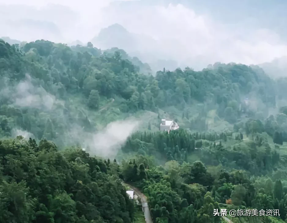 雅安邀你来听雨：天地之润，万物之养，雅雨之灵，雅安之魂