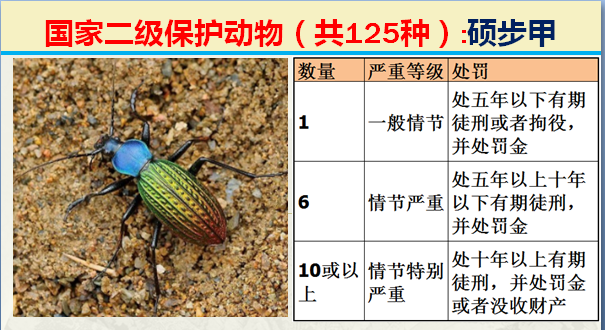 二级保护动物（国家最新125类二级野生保护名录）