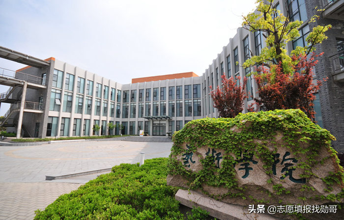 新高考第一年，2021江苏专科怎么填？定位是关键