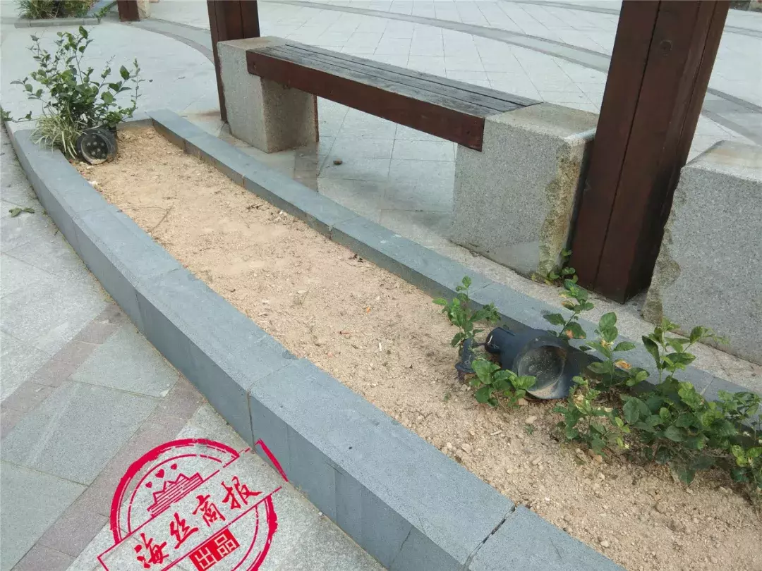 南安山水花园城:业委会换物业,旧物业拒不撤出