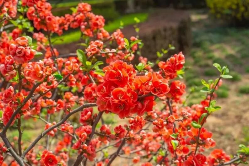 神仙颜值！惊艳众人！陕西高校“最美校花”高清大图曝光
