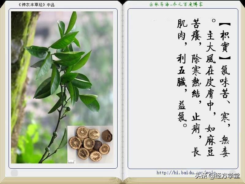 《神农本草经》全册图文解析 建议收藏