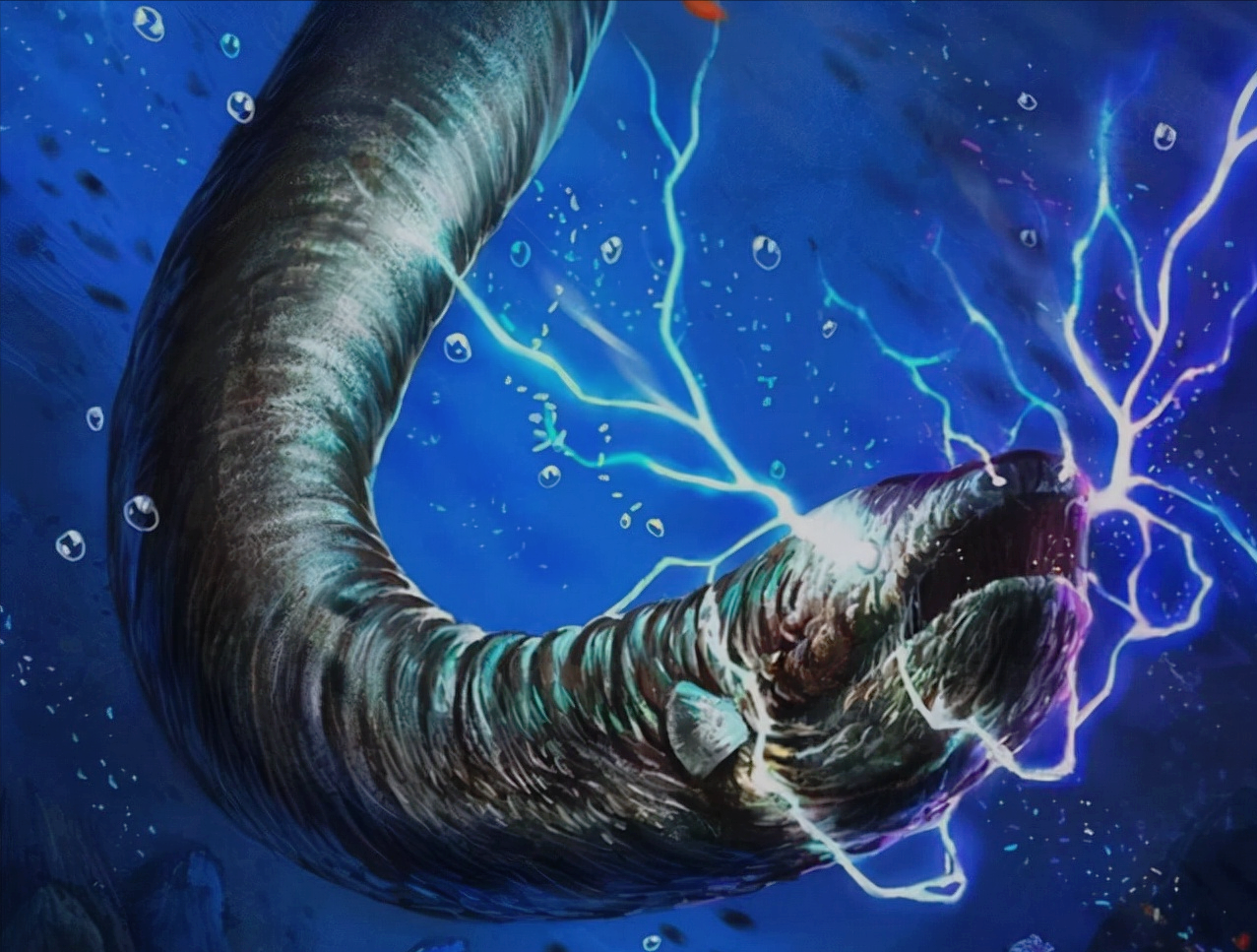 八,深海金眼鲷在赶走了黑鳗之后,明叔等人又遭到了深海金眼鲷的袭击.