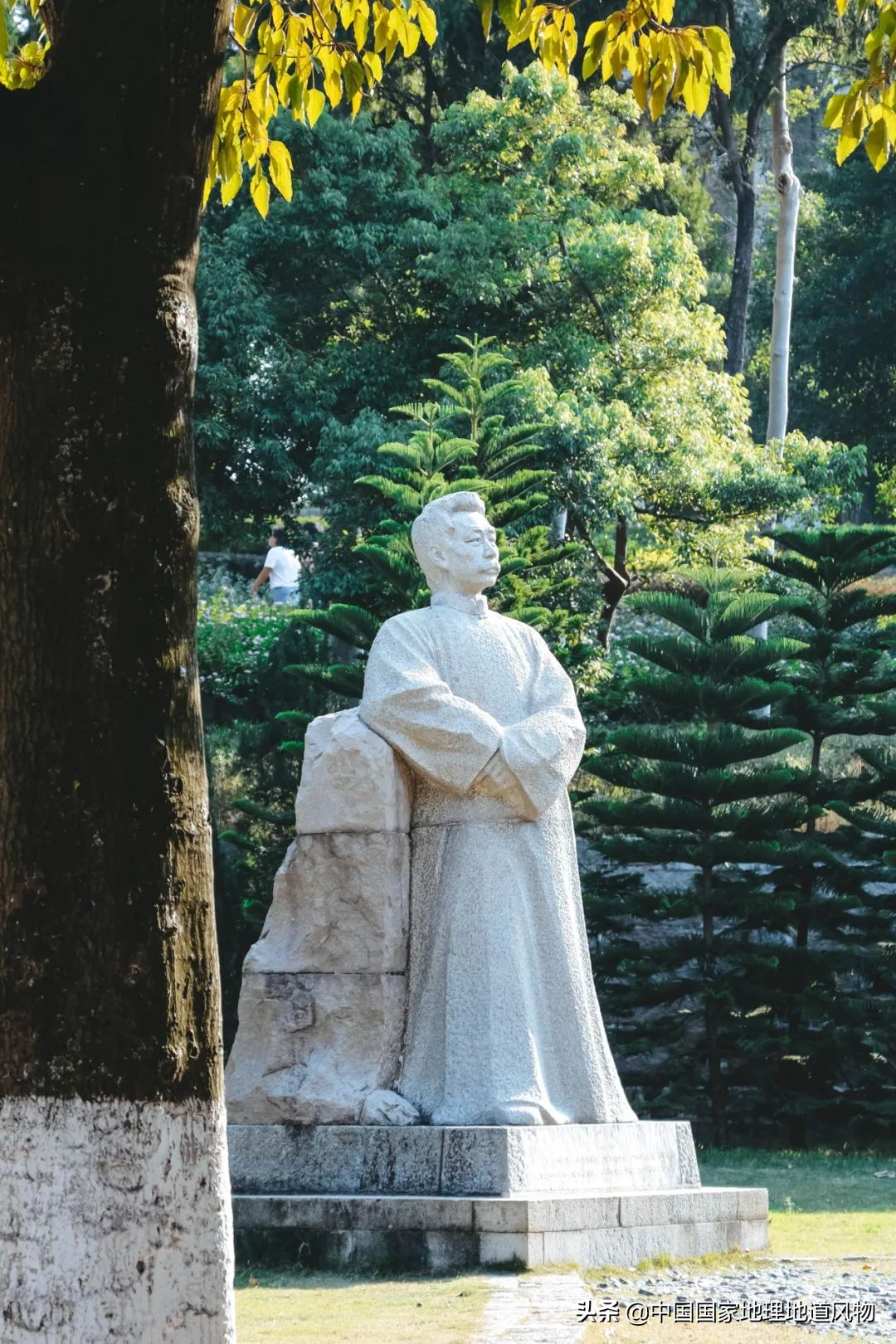 厦门大学，凭什么是中国“最美”校园？