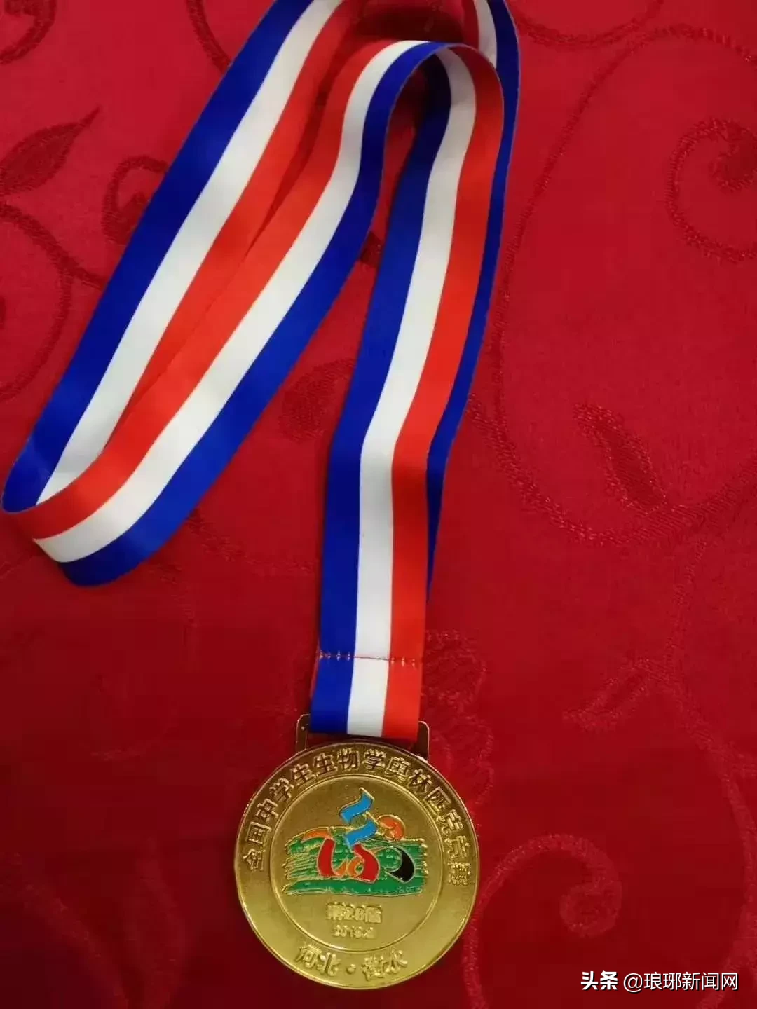 喜讯！临沂学子斩获全国金牌，现场签约保送清华大学