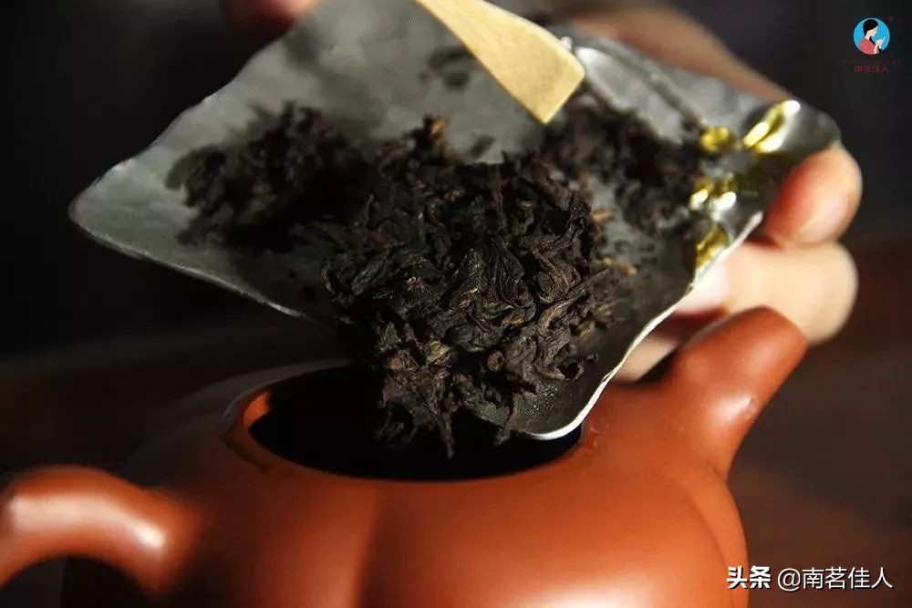 又到了喝熟茶的季节，掌握这5点，学会如何泡一杯好熟普