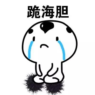 惹女朋友生气了怎么办？哄她开心的表情包来了，男生们快来收图