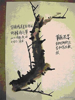 中国画写意花鸟画入门大全