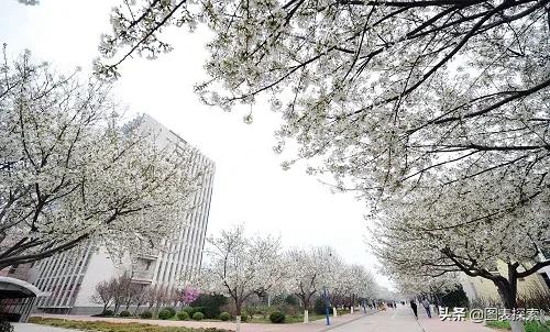 河南濮阳高校巡礼，3年新增2所大学，河南大学濮阳工学院是本科