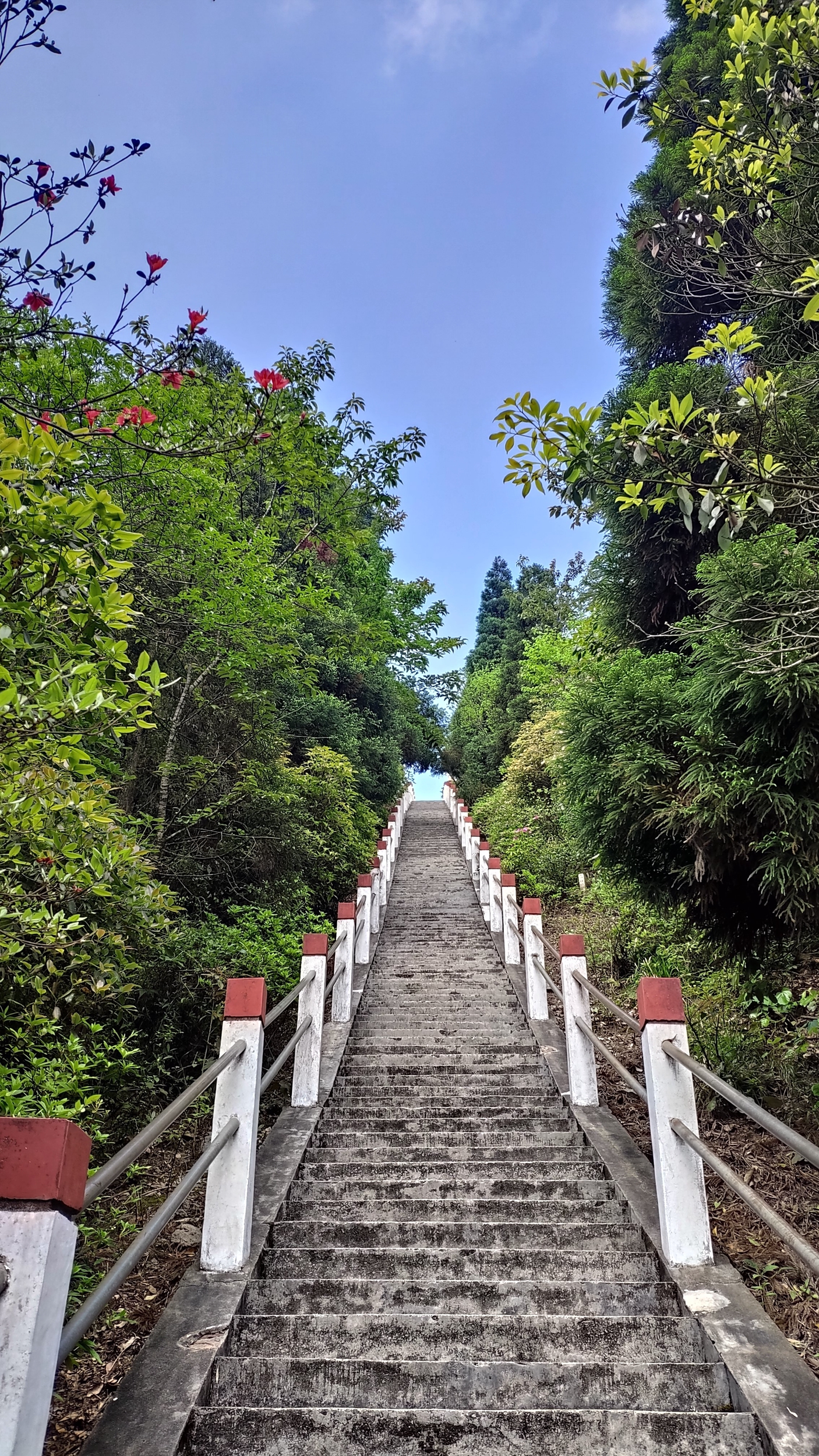 崇义旅游景点大全排名图片