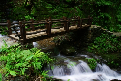 鹧鸪天-坪坝营景区