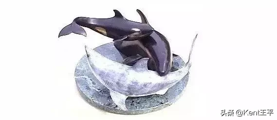 身为海洋食物链“顶端杀手”的它,竟对人类有蜜汁好感?