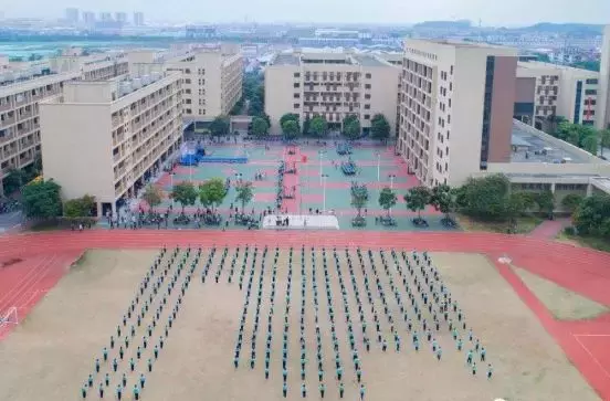 热门名校录取率低于10%？但佛山这所国际学校家长依然争相关注！