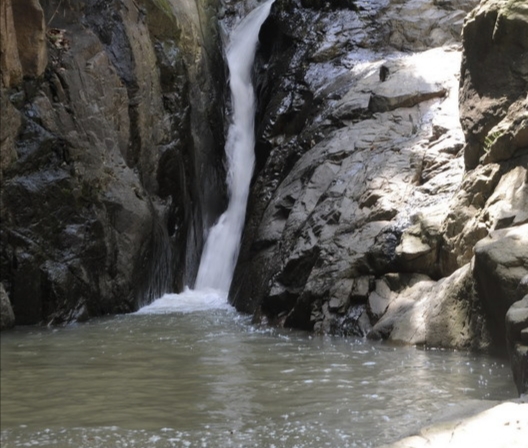 200亩鱼塘、塘租才5000元每年却无人承包养殖，是什么原因呢？