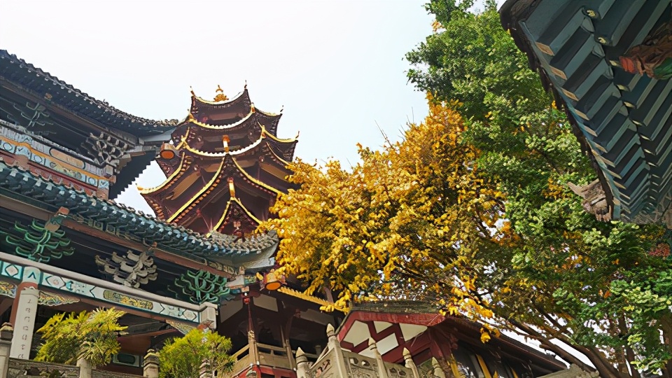 重庆沙坪坝区有什么地方好玩？在沙坪坝区不妨可以到这些地方走走