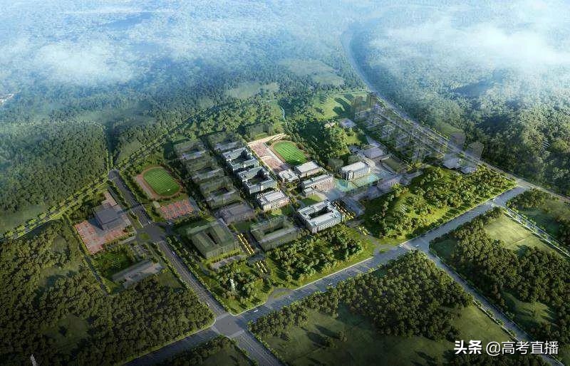 录取分很低？28所新大学今年秋季开始招生！（本专科都有）