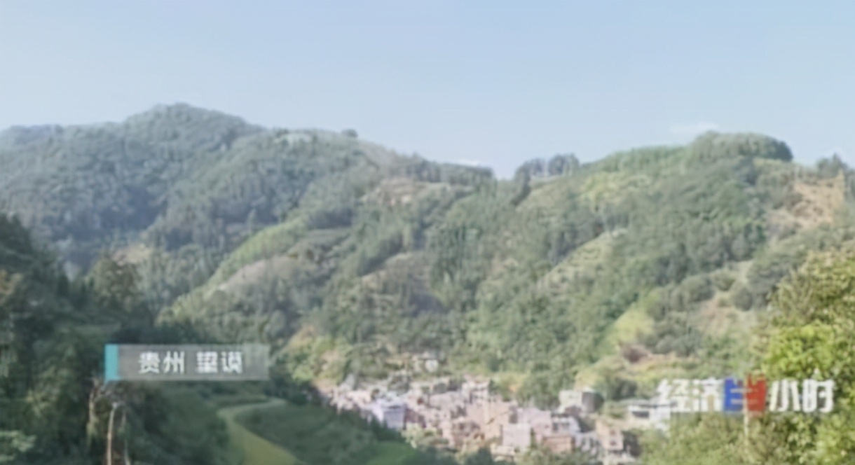 农家娃勇夺省状元，清华学霸谈学习：从高一高二开始打基础很重要