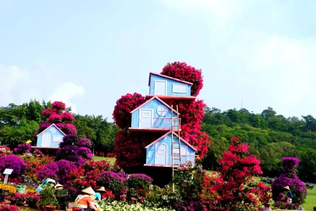 花都旅游景点大全排名,广州花都有哪些好玩的地方 千梦