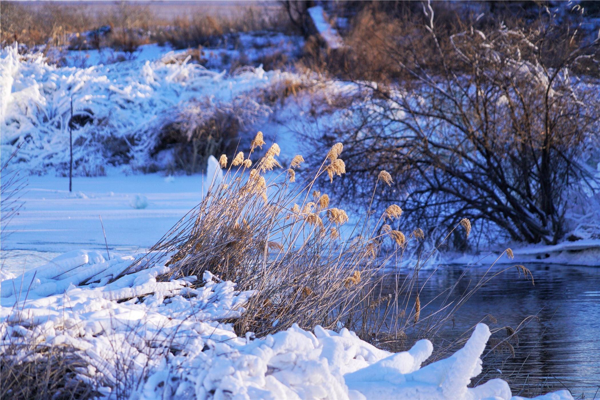 想去东北看雪哪个地方更好(零下30度来东北这个地方看雾凇，河流居然不结冰美成了瑶池仙境)