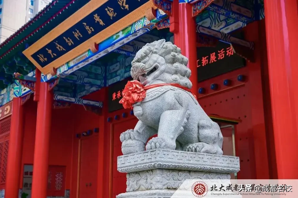 龙泉4大热门民办学校如何选?各有啥优势？怎么招生？家长们看这里