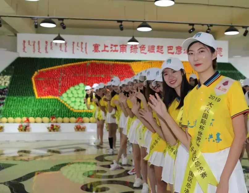 50多名高颜值大长腿美女汇聚巴彦淖尔，快来围观