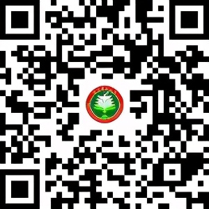 今年不看高考艺考成绩可以上的20所艺术专业本科院校